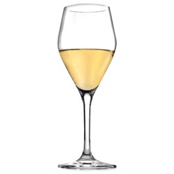 Бокал Schott Zwiesel Audience Riesling, 250 мл, стекло, Германия 81260020 - фото 161052